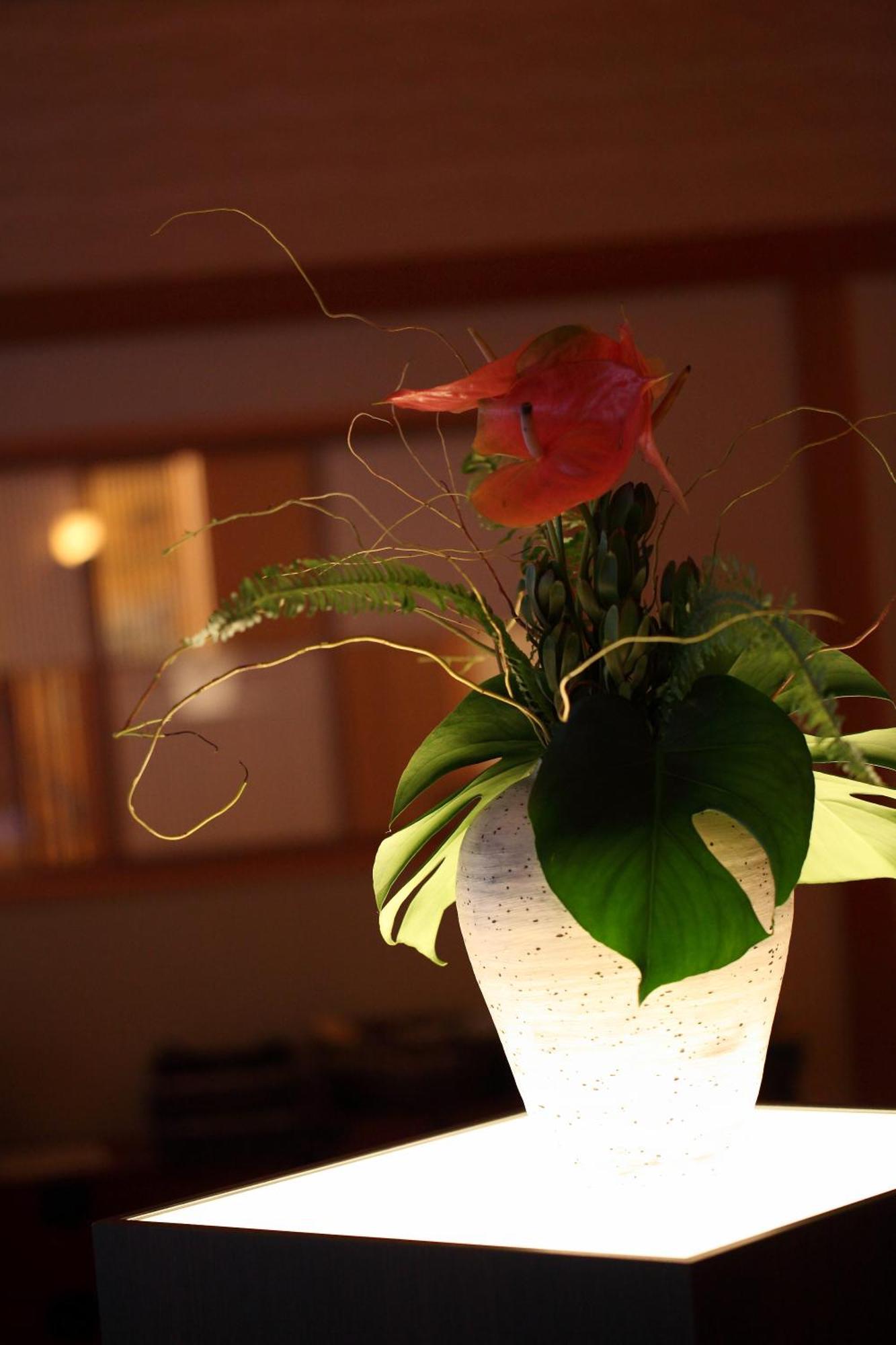 Kyo Yunohana Resort Suisen Kameoka Bagian luar foto